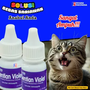 Perawatan Mulut Kucing Anjing Sariawan Bau Tidak Sedap Gusi Berdarah Fefarm