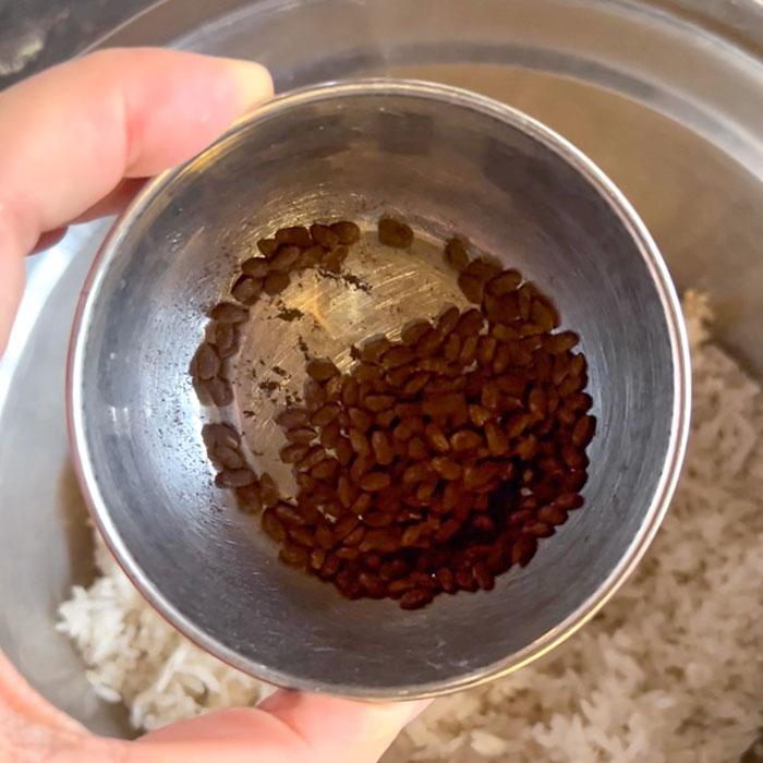 Black Koji Starter Japan 10g | Tane Koji (Aspergillus luchuensis) untuk Miso, Shiokoji, Amazake – Ikushima Store 5