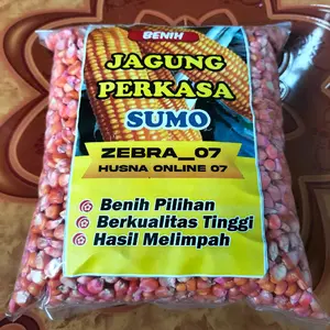 1 KG BENIH JAGUNG PERKASA SUMO SUPER berkualitas bibit paket berkebun beni h padi unggul le bidara arab tanaman strawberry cabe rawit Buah Buahan jambu black guava Bunga Melati Wangi Tumpuk jumbo citra asia Cabai Hijau air Labu Jepang Bebas Pilih timun ka