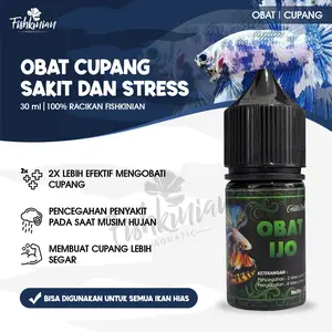 Obat Ijo untuk ikan Hias - FISHKINIAN