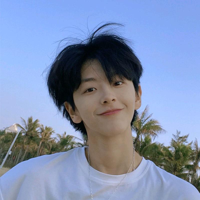 Wig Pria Pendek Korea Belah Tengah / Rambut palsu Pria Gaya Oppa Korea 7