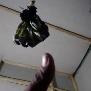 Lem Perbaikan Kaca Mobil Retak WINDSCREEN REPAIR RESIN/Alat Reparasi Kaca Mobil Retak Car Window Crack Repair Tool Resin(Kering Cepat, Tahan Air, Tidak Berbau, Hasil Seperti Baru)