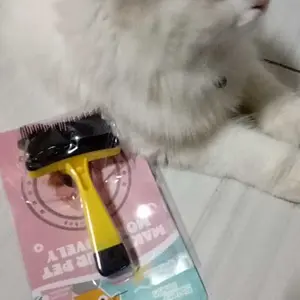 Sisir Bulu Halus Bulu Rontok Auto Cleansing Untuk Anjing dan Kucing
