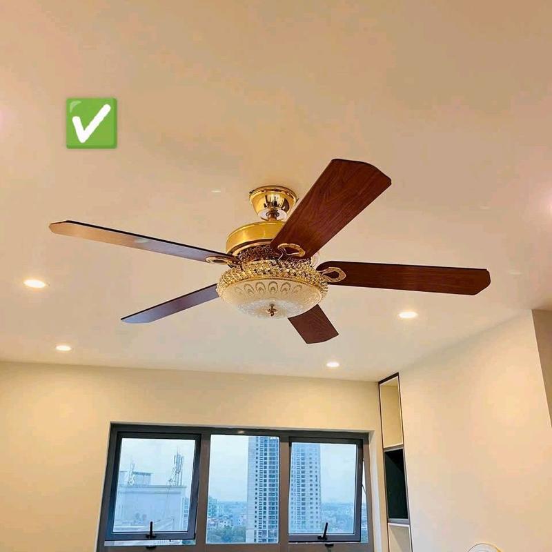 Quạt Trần 5 Cánh Gỗ Hàng Loại I Bảo hành 6 Năm