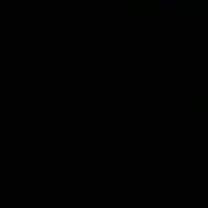 12 PCS | 6 PCS | 4 PCS CD Wanita Nyaman Elastis Murah