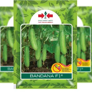 Benih Timun Hibrida BANDANA F1 Original Cap Panah Merah isi 175 butir