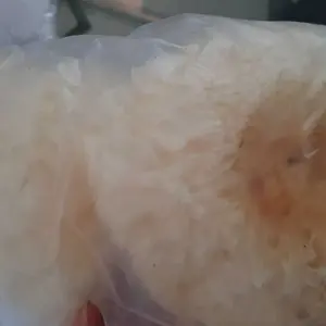 TERMURAH! / 31gram  MURAH Jamur es / putih salju / bai mu er / yin er/ white fungus