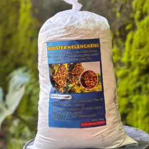 Booster kelengkeng Murni 500gr