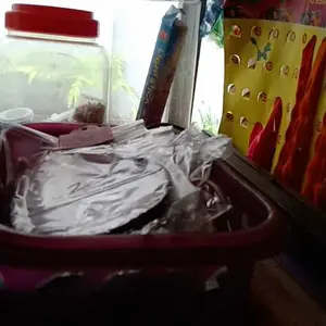 PAKET SIKAT GIGI - DENTAL BRUSH PACKAGE Pembersihan Gusi