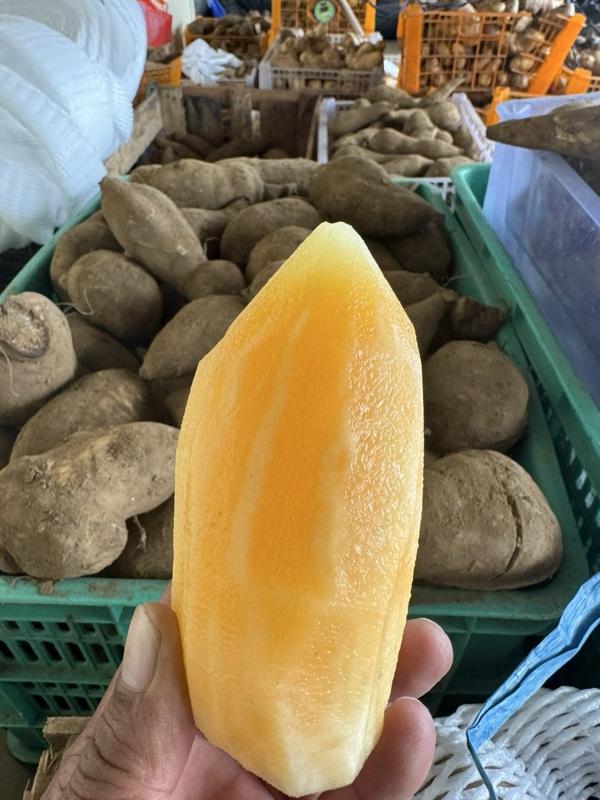 Umbi Yakon Wonosobo Super 1kg Rasa Manis Alami Renyah