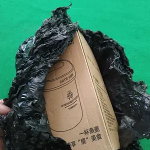 Eatkit Gelas Kaca Oatmeal 350ml Dengan Tutup Anti Tumpah Free Sendok Stainless Glass Tumbler Wadah Biru Kuning