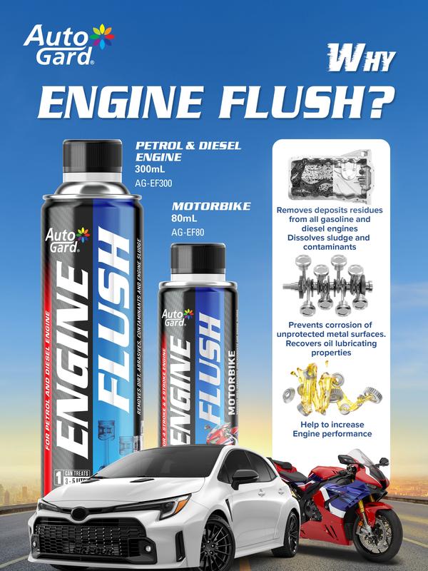 Engine Flush by Autogard with Advance Anti Sludge Detergent - TikTok ...