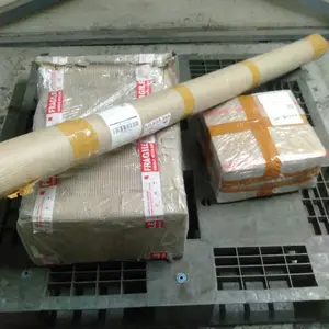 BIJI BENIH CABE MAHKOTA DOMPOL 100 BUTIR