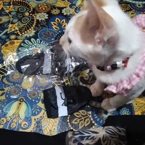 4Pcs Sepatu Boots Anjing / Kucing Tebal Anti Cakar / Slip / Air / Kaus Kaki Kucing Anjing / Sepatu Anjing Poodle / Sepatu Kucing / Sepatu Anjing Golden - Kecil Besar