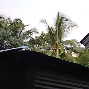 KAWES Alat Musik Tiup Seruling Suling Recorder Murah Bahan ABS Bukan Plastik Murah