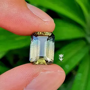 Batu Permata Natural High Quality Olive Green Sapphire No Heat Tanzania 8.92 Ct GRI Lab Certified