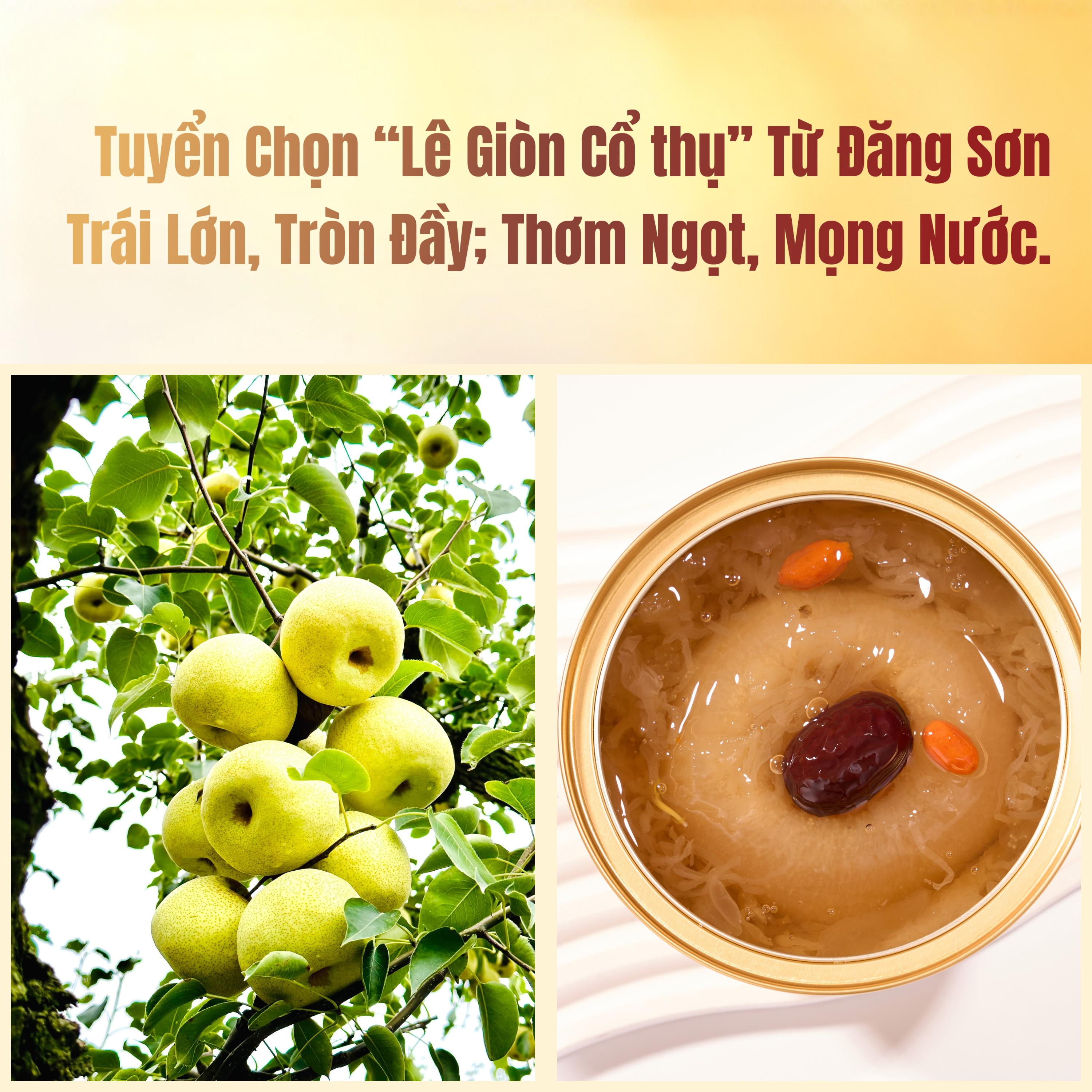 [Combo 2 Chén Mix 2 Vị] Lê Nướng Tổ Yến 258g/Chén & Thạch Hoa Cúc Thạch Hộc 168g/Chén – Ăn Liền | Nương Nương