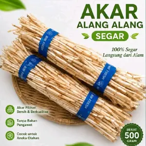 Akar Alang Alang Fresh - 100% Segar Langsung dari Alam - Akar Pilihan Bersih & Berkualitas - Tanpa Bahan Pengawet