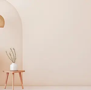 Background Foto Warna Cream Ukuran 80x140cm Camera Kamera