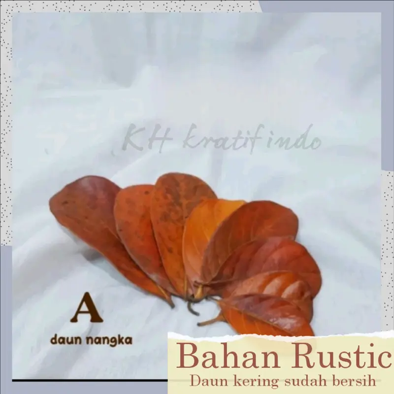 Bahan prakarya kerajinan dan kesenian / Rustic Daun kering bersih / seni keindahan / keterampilan / rustic kesenian yang indah / bahan dasar daun kering Hiasan 1