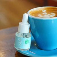 Gambar SEIL Stevia Pemanis Alami 15ml - Pengganti Gula dari Gorilla Supplement Kab. Bandung 5 Tokopedia