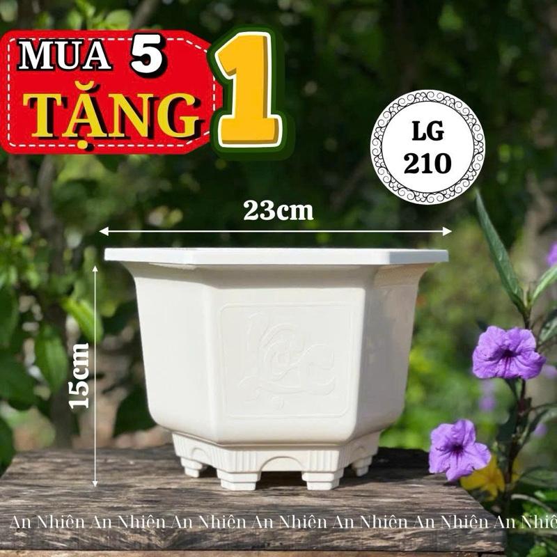  Chậu Nhựa Trồng Hoa Lục Giác 210  23 x 15  Combo 5 cái TẶNG 1 chậu LG210 