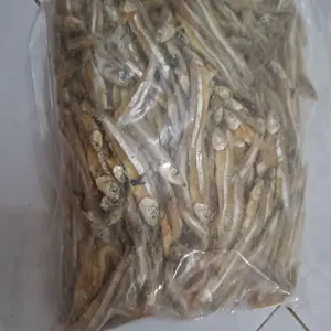 BARU 1 KILO TERI JENGKI SETENGAH KERING ASIN