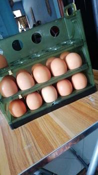 Product Review of 30 Eggs Tray Three Layers Egg Storage Box Refrigerator Food Organizer Containers Kitchen Fresh-Keeping Storage Kitchenware Utensils Dispenser Sealer from R**h 0