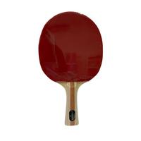 Gambar Bat Pingpong Tenis Meja Table Tennis Power Spin 30 plus Book Cover dari PROCHAMPION Kota Administrasi Jakarta Barat 2 Tokopedia