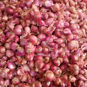 Bawang Merah Ukuran Campur