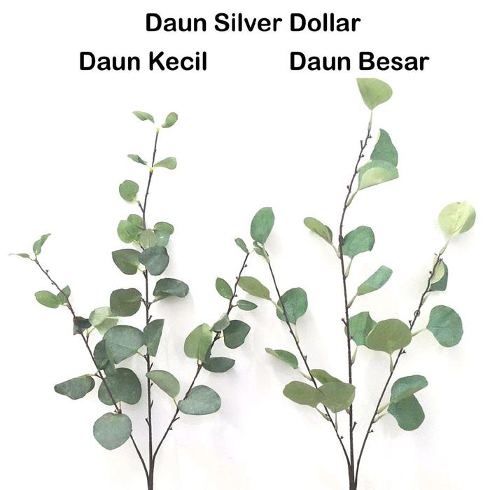 Gambar Daun Silver Dollar Artificial / Daun Dollar Palsu dari Rere Gift & Art Kota Administrasi Jakarta Barat Tokopedia