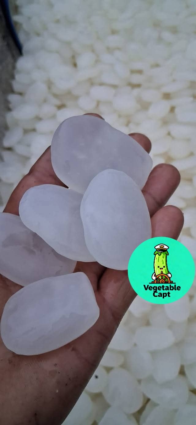 1kg kolang kaling gemoy, Buah Kolang Kaling Super - Kualitas Terbaik 1kg kolang kaling gemoy, Buah Kolang Kaling Super - Kualitas Terbaik