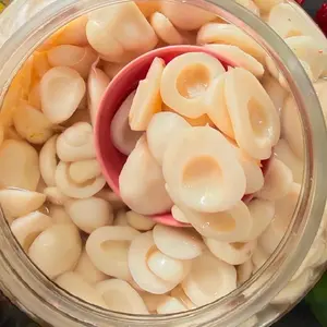 MANISAN BASAH BUAH SALAK KEMASAN 200 GRAM - 400 GRAM - 1000 GRAM ASLI CIANJUR ASINAN KILOAN