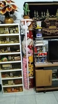 Product Review of [COD] Tidy Tribe Hadiah Doll Storage Bucket Gaya Ritsleting Transparan Tabung Storage Boneka Dengan Penutup 90/120/150CM Penyelenggara Berkapasitas Besar Dudukan Doneka from f**n 1