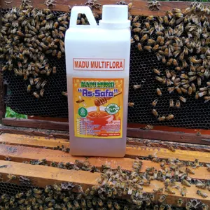 Madu Multiflora super untuk Menurunkan Panas Demam, Mengurangi Batuk, dan Pilek serta Menjaga Imun Sehat - Jamu