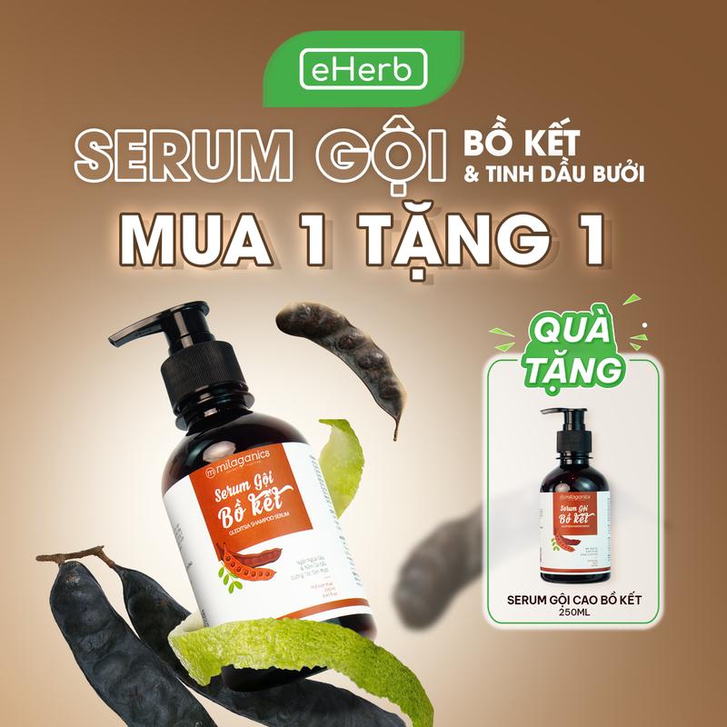 Milaganics Serum Gội Bồ Kết Cô Đặc Dưỡng Đen Tóc EHERB - Dầu Dội Thiên Nhiên Chăm Sóc Tóc Hư Tổn - Hỗ Trợ Mọc Tóc & Giảm Gãy Rụng - Dành Cho Mẹ Bầu & Nữ Women