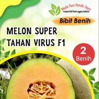 Gambar Benih Melon Tahan Virus  F1 2 Biji  - DISCON SALE Bibit melon super F1 - Melon 2 biji dari Nada fast benih jaya Kab. Banyumas 2 Tokopedia