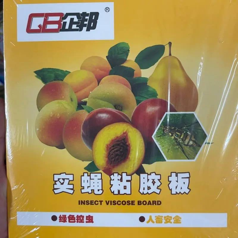 10 tấm dính ruoi vàng đục trái trên cây ăn quả 2