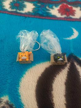 Product Review of Gantungan Kunci Kucing dalam Kardus | Cute Little Cat Box Keychain Kitten | Hadiah Gift Souvenir Kucing Lucu Hiasan from a**_ 0