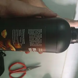 Ekstrak Ketapang Untuk Perawatan Ikan Cupang Channa Arwana dll