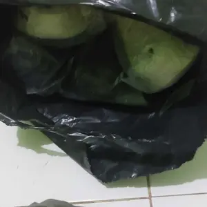 Gentle&StepStudio Sepatu olahraga pria Tahan Pakaian cocok untuk aktivitas luar ruang dan aktivitas air dengan desain ventilasi optimal sol anti gelincir nyaman dipakai berbagai warna pilihan ringan 202601125843