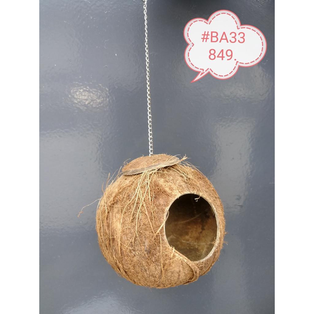 Coconut Shell with Chain Sugar Glider Birds Cage BA33849SBP Kelapa Rantai Sangkar Burung