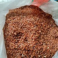 Gambar beras merah organik "Pondok Alam" 5 kg dari Pondok Alam Kab. Sleman 5 Tokopedia