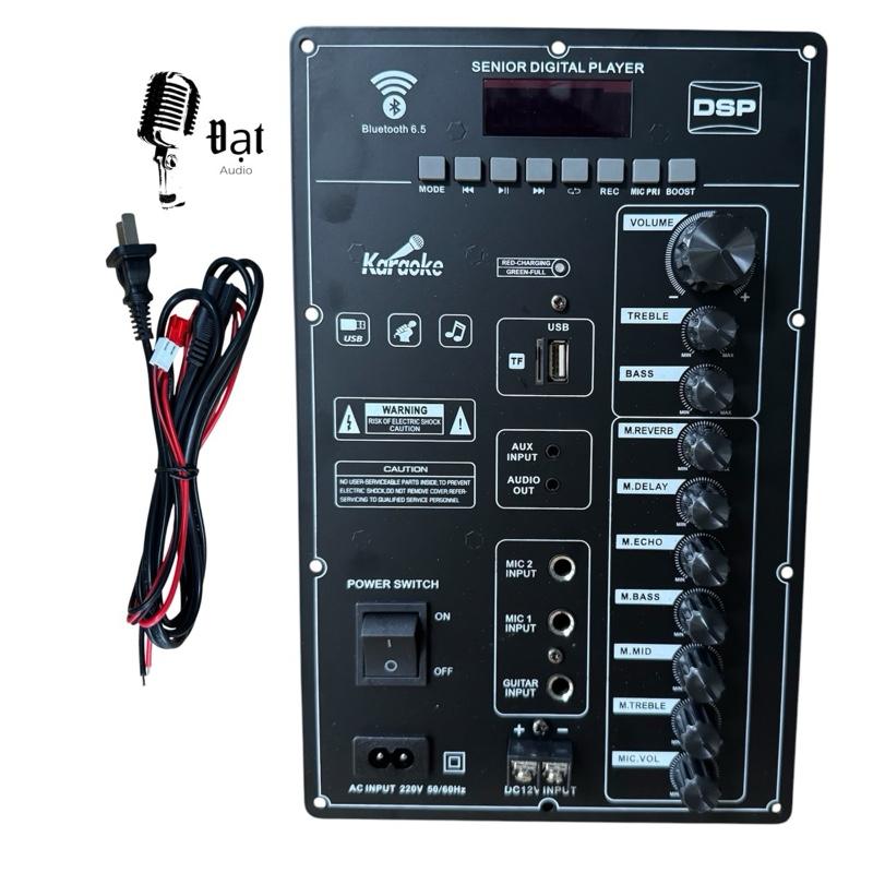 Mạch Loa Kéo Kích Thước 18x28cm Echo Delay 120w