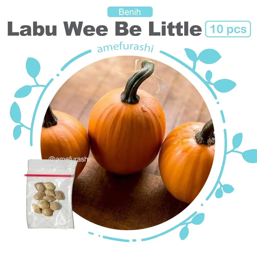 Labu Wee be 10 Biji