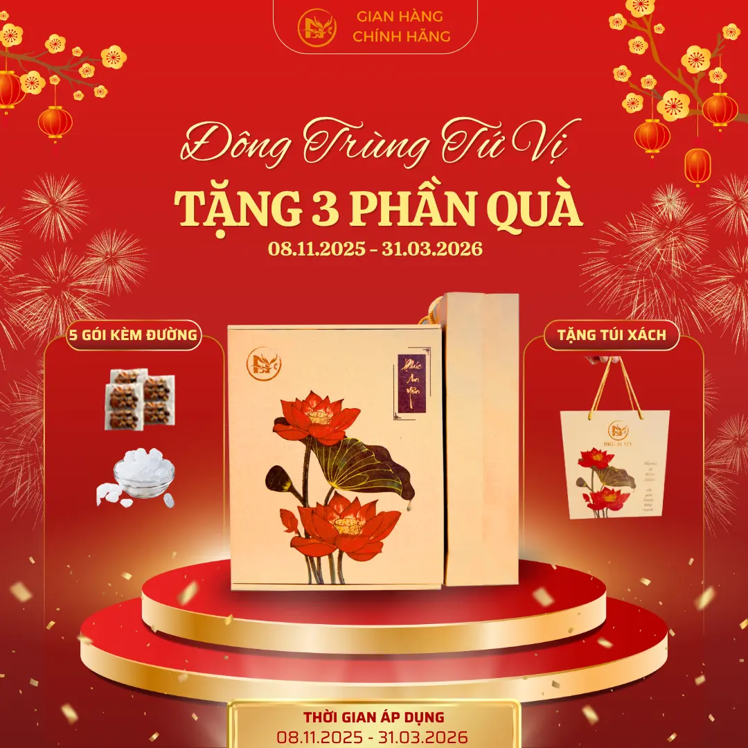 [TẶNG 3 Phần Quà] Hộp 30 gói Trà Đông Trùng Tứ vị Tặng Túi Xách Kèm 5 gói, Tặng Đường Phèn, Nguyên Liệu Hữu Cơ Sấy Lạnh Táo Đỏ, Kỷ Tử, Nấm Đông Trùng, Long Nhãn ... Tea Nước Trà Chè