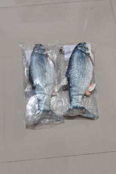 Product Review of Mainan Ikan Goyang Masak - Masakan, Kado Anak, Ikan Koi Arwana Mas Bergoyang dan Bergerak Remote Toys from W**a 0
