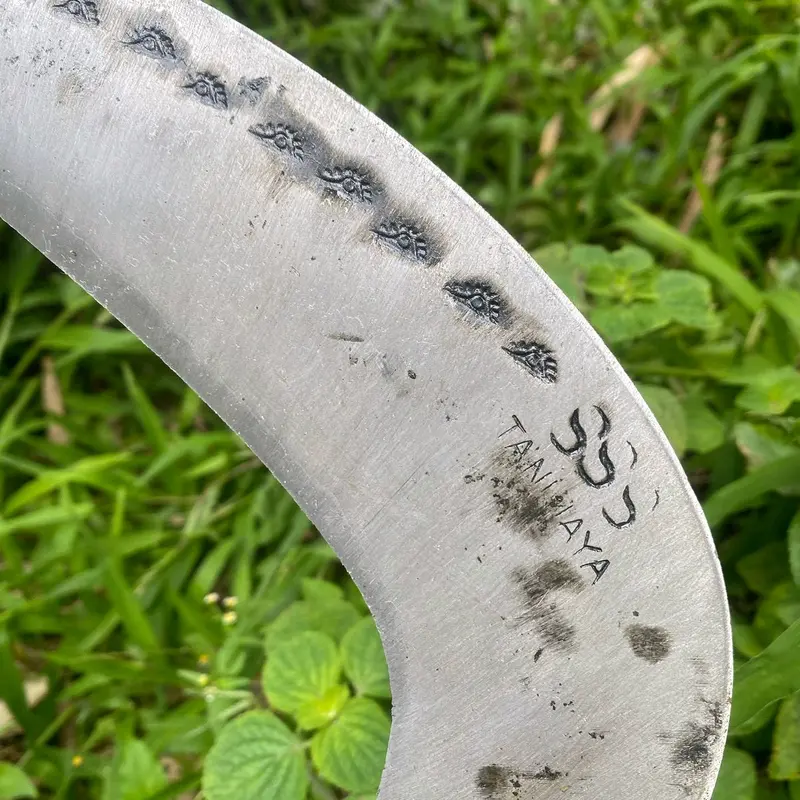 arit sabit rumput baja isen selap super asahan 2