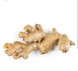 Jahe gajah super pilihan sudah bersih di cuci kemasan 500 gram-1 kg