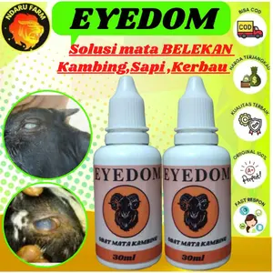 Tetes Mata Belekan Kusus Kambing Domba Sapi NDARUFRA